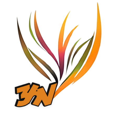 Logo 3aitchV
