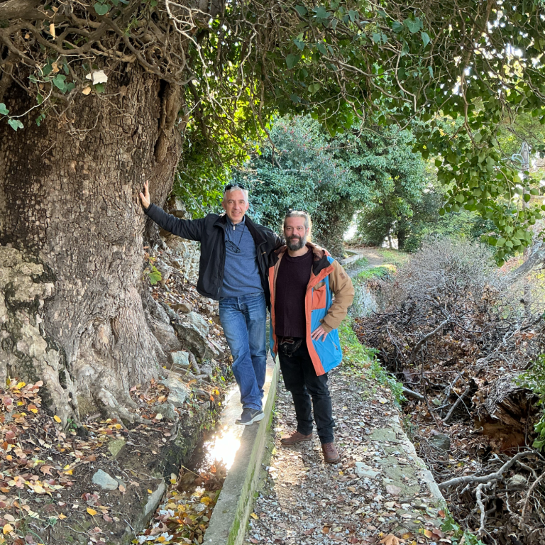 Zwei Männer stehen neben einem großen Baum in einer bewaldeten Umgebung.
